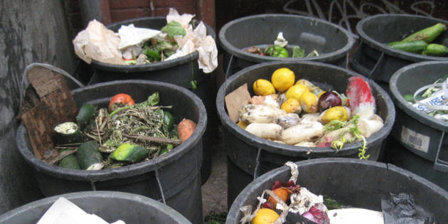 Limiter le gaspillage tout en préservant la sécurité alimentaire