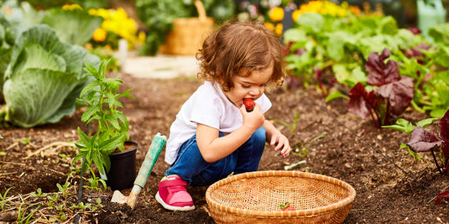 Enfant mangeant une fraise