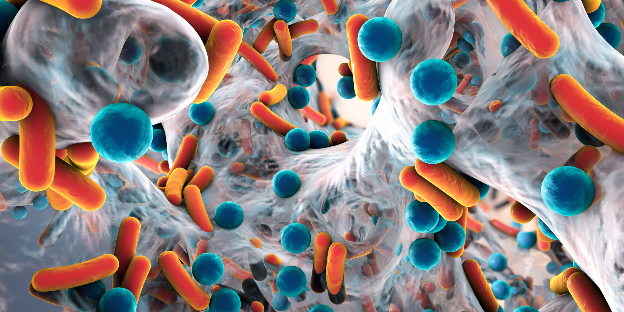 Notre microbiote serait-il sensible aux contaminants alimentaires ?