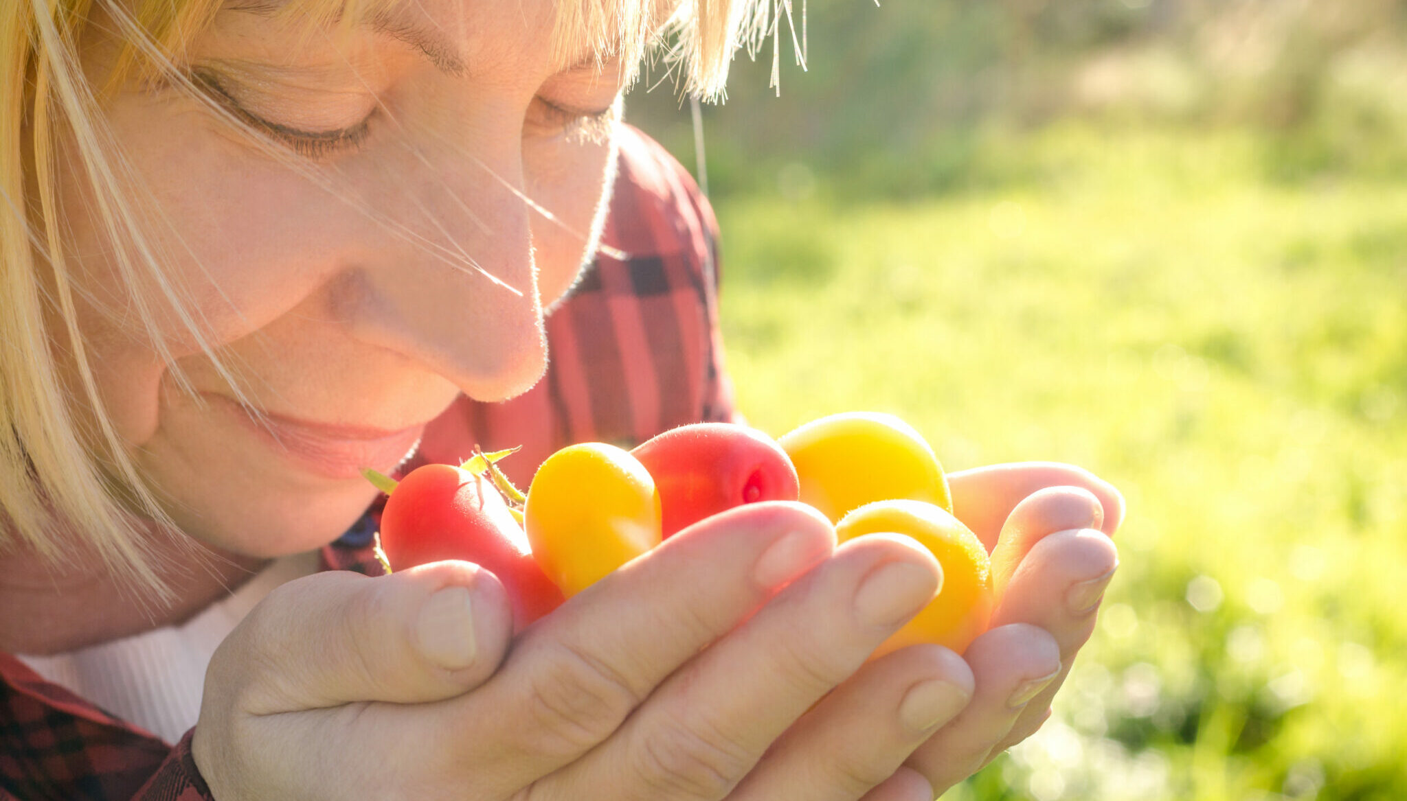 Sentir et toucher les légumes