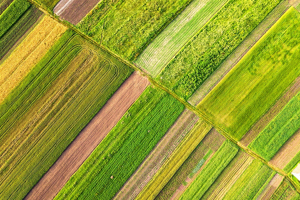 De grandes étendus cultivable