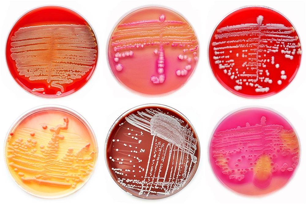 Protéger davantage de consommateurs des infections alimentaires à E. coli.