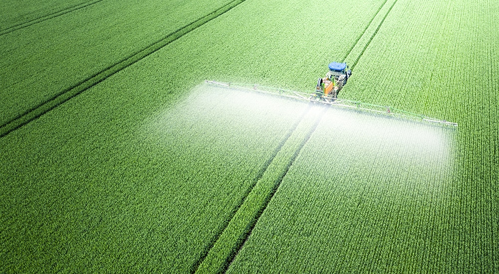 Glyphosate : la commission européenne prolonge l’autorisation de 10 ans