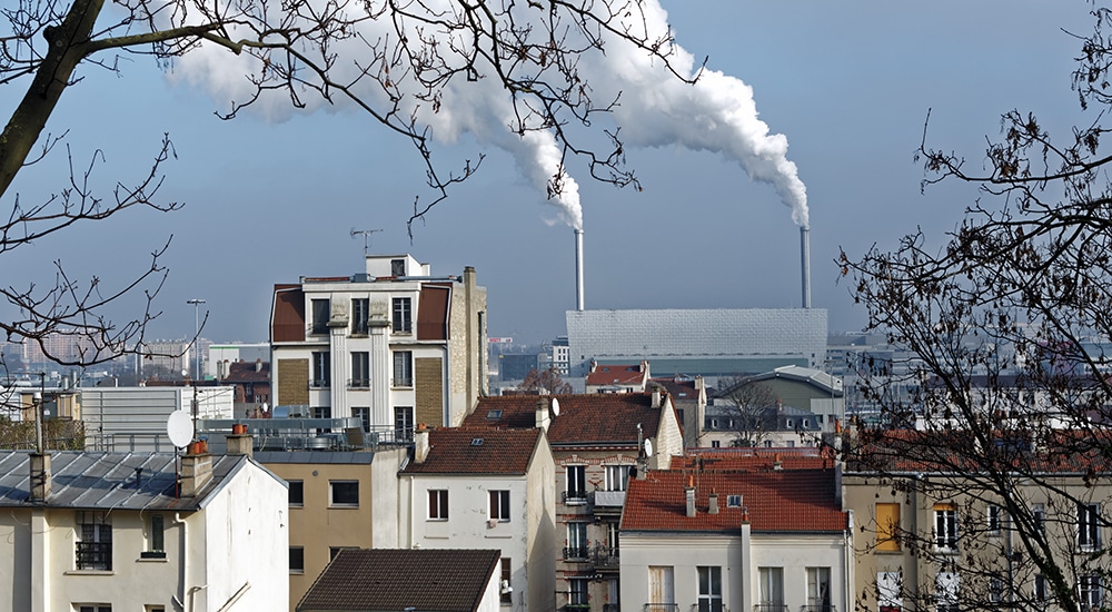 Œufs domestiques et polluants éternels