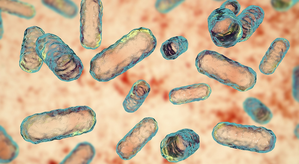 Un programme ambitieux pour comprendre les liens entre alimentation, microbiomes et santé humaine