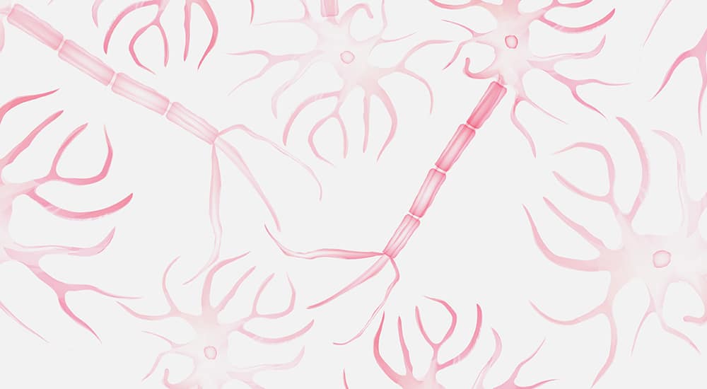 astrocytes