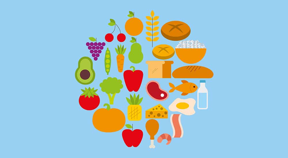 protéines végétales